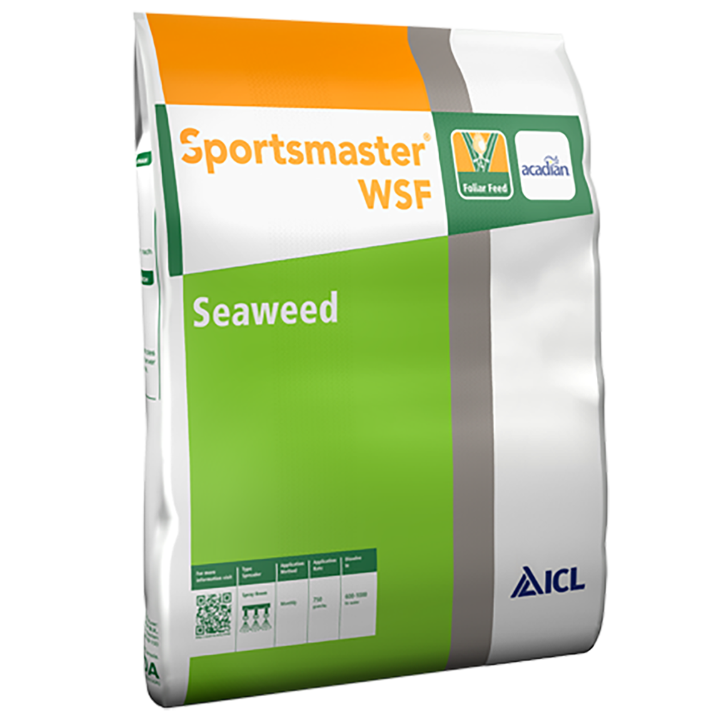 ICL Sportsmaster WSF Seaweed